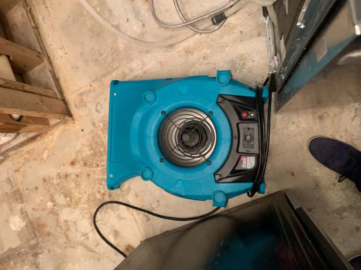 Air mover drying equipment for Mold Remediation & Removal in Canfield